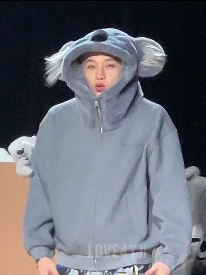 gnabnahc_luvs's tweet photo. A real koala out there https://t.co/AgHBTmYdcZ