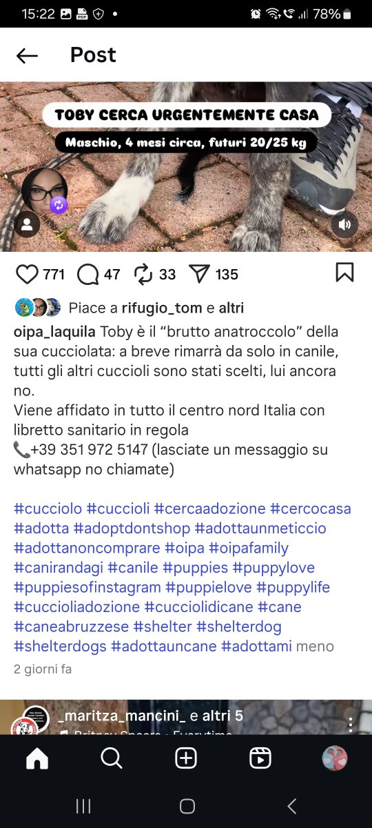 Annina🇮🇹 (@annina_cutillo) on Twitter photo 