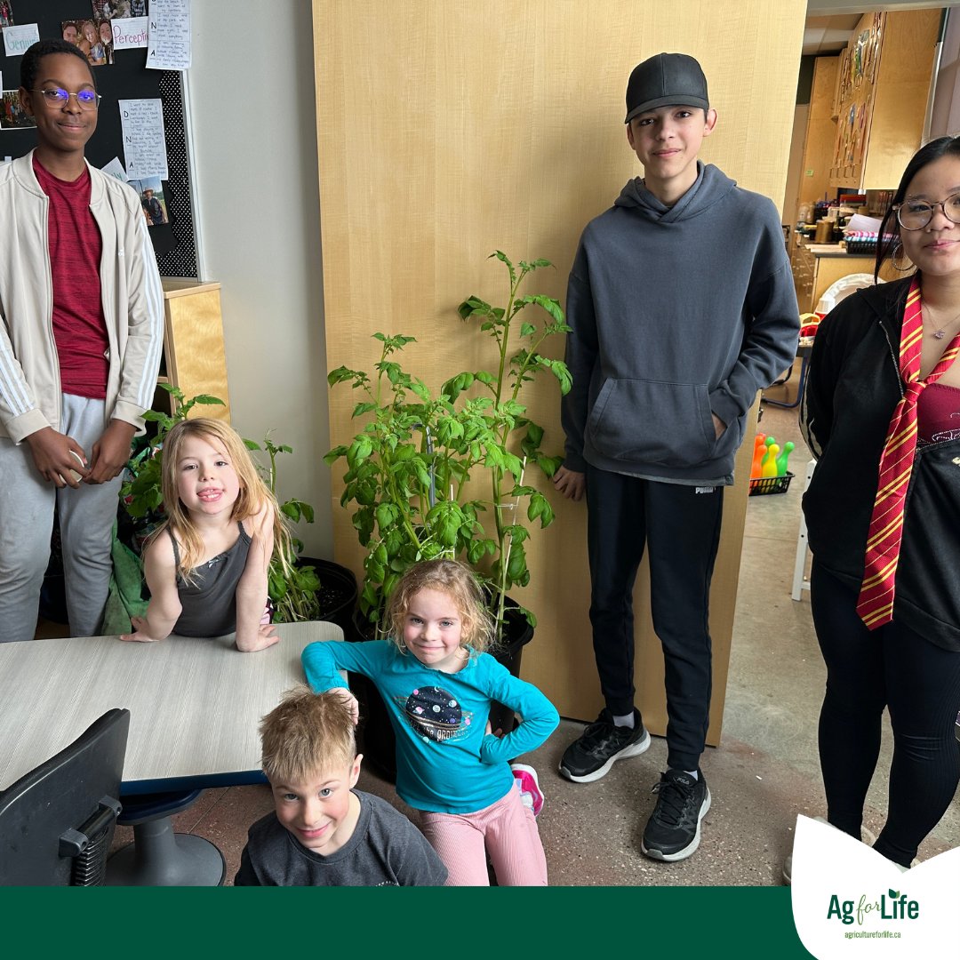 4AgForLife's tweet photo. 🌱 Germination isn’t just for seeds—it’s for students too. Every Ag in the Classroom lesson plants ideas that grow into curiosity, connection, and big thinking.
#AgInTheClassroom #GrowingMinds https://t.co/K4DyuNX3iy