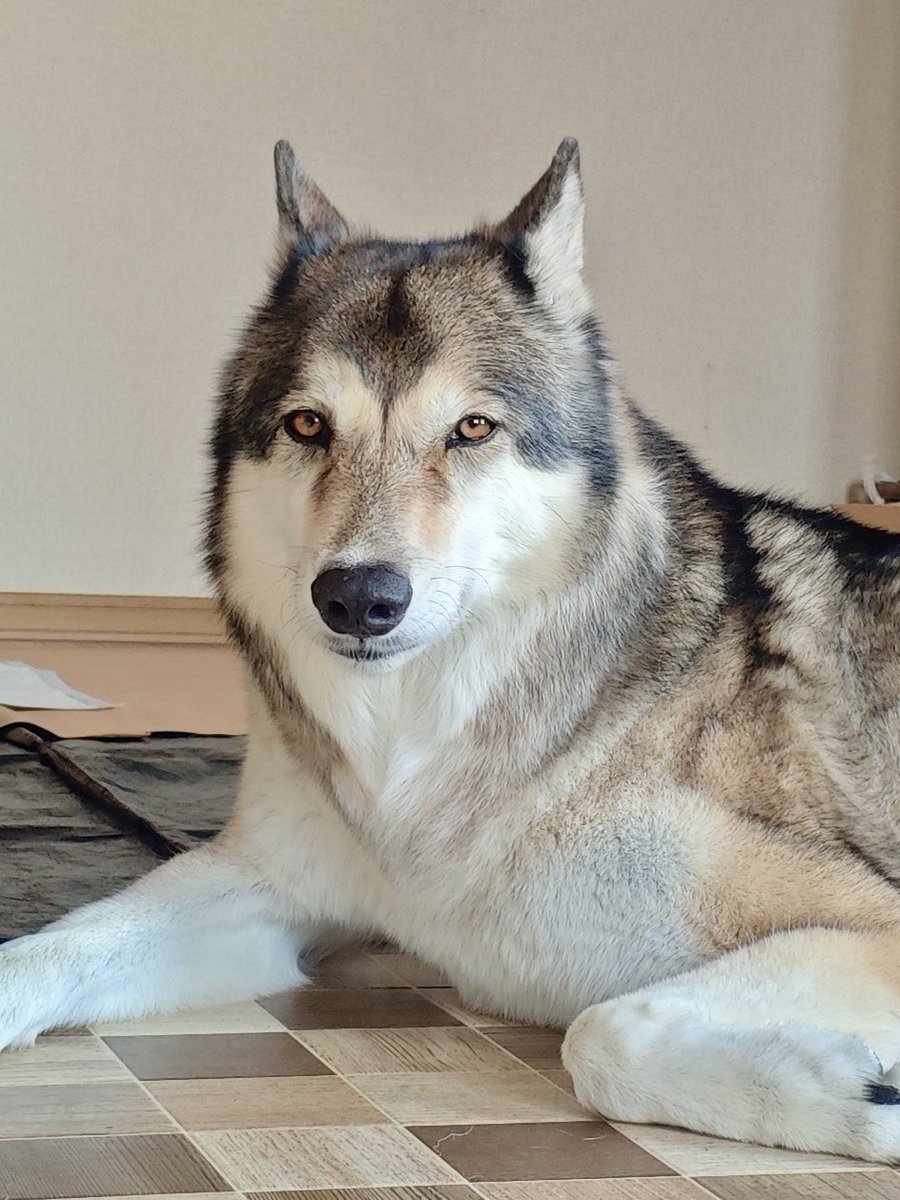 到着後リラックスしてたイデアさん。

#イデックス