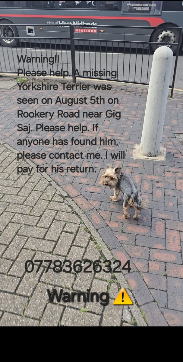 Bombel is still #missing! Very urgent- he is old and unwell.

#handsworth #Birmingham #b21 area