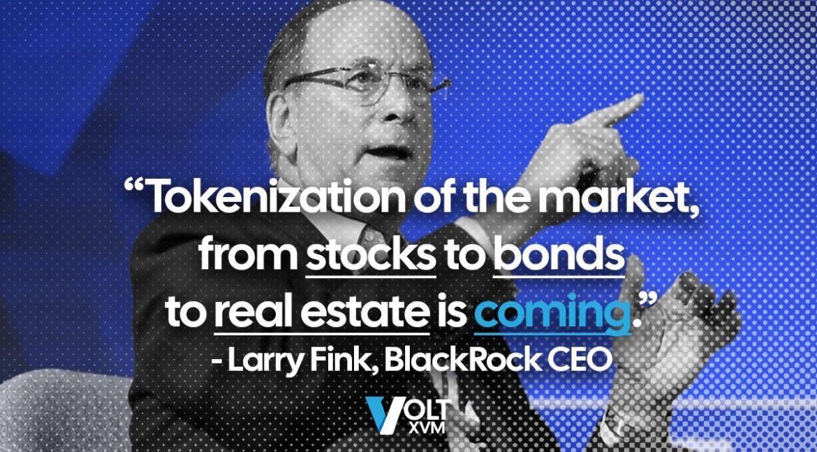 mintmonkz tweet media