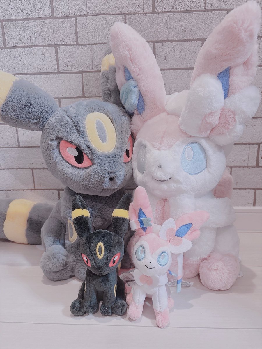 ふわふわ抱きぬいぐるみ🎀 お迎えした꒰ᐡ⸝⸝ ·⸝⸝ᐡ꒱かわすぎ