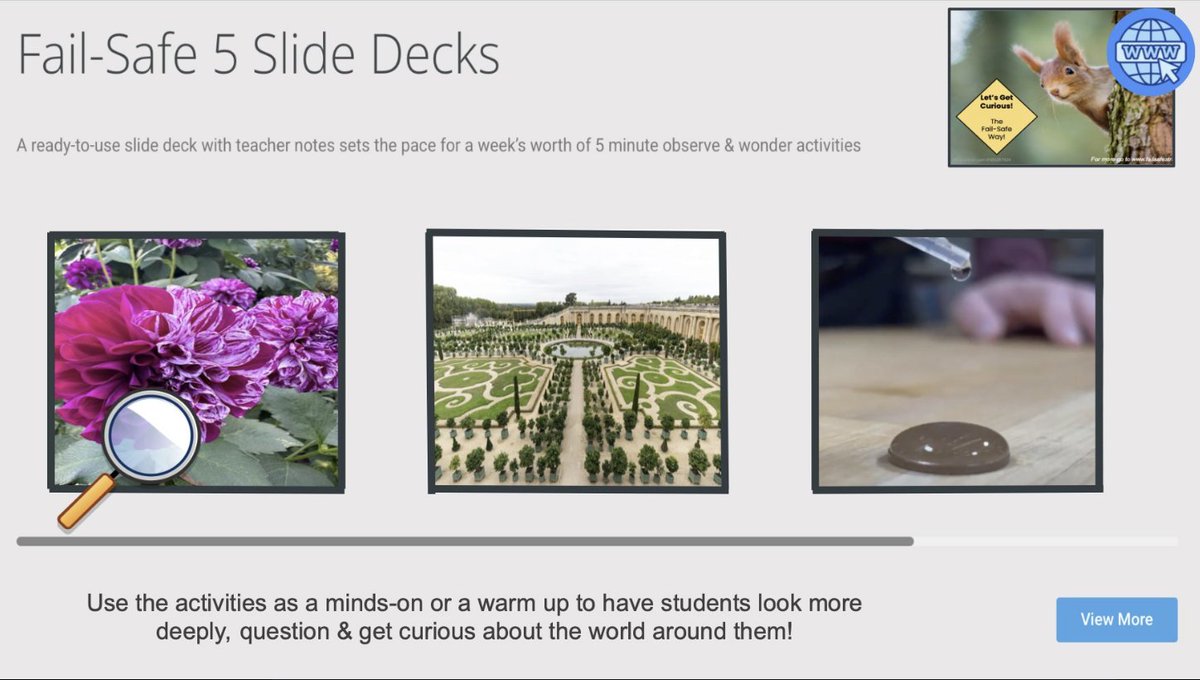 Sandra Mirabelli tweet media