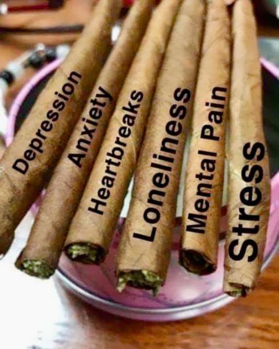 JeannieMck60115's tweet photo. #EndProhibitionNOW
#CannabisIsMedicine https://t.co/qwuA3DxLyI