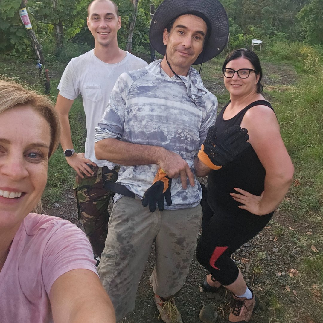 irrigavit's tweet photo. 🍇 rgatev sorte Pinela v Vipavski dolini v okviru projekta @InterregITASLO  IRRIGAVIT za bolj trajnostno vinogradništvo. Preverite, kaj razvijamo!
 👇👇https://t.co/6YHvE8YUCI https://t.co/jkgUaBvv1j