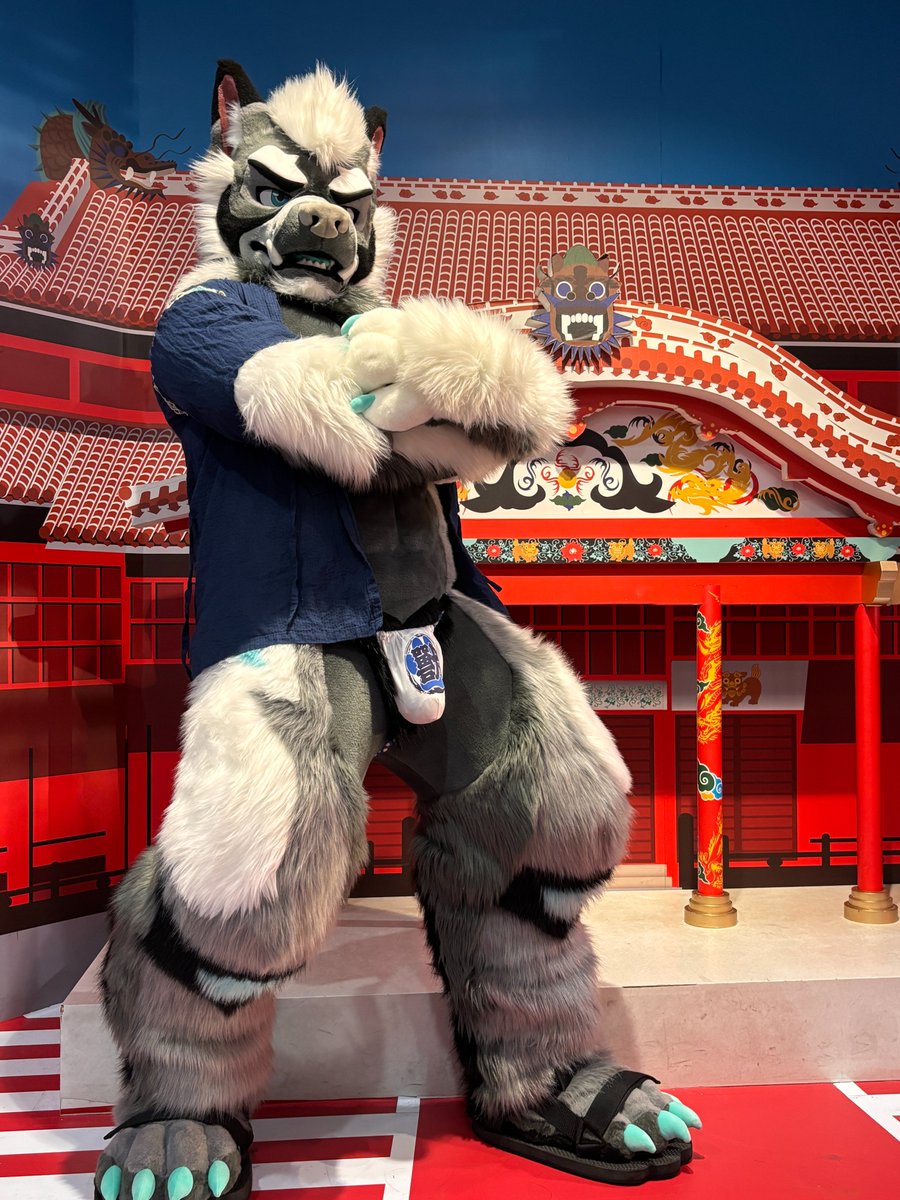 まるで巨大な存在が神社に現れたように見える😆

It look like a colossal figure showed up at the shrine.

#Fursuit
#FursuitEveryday