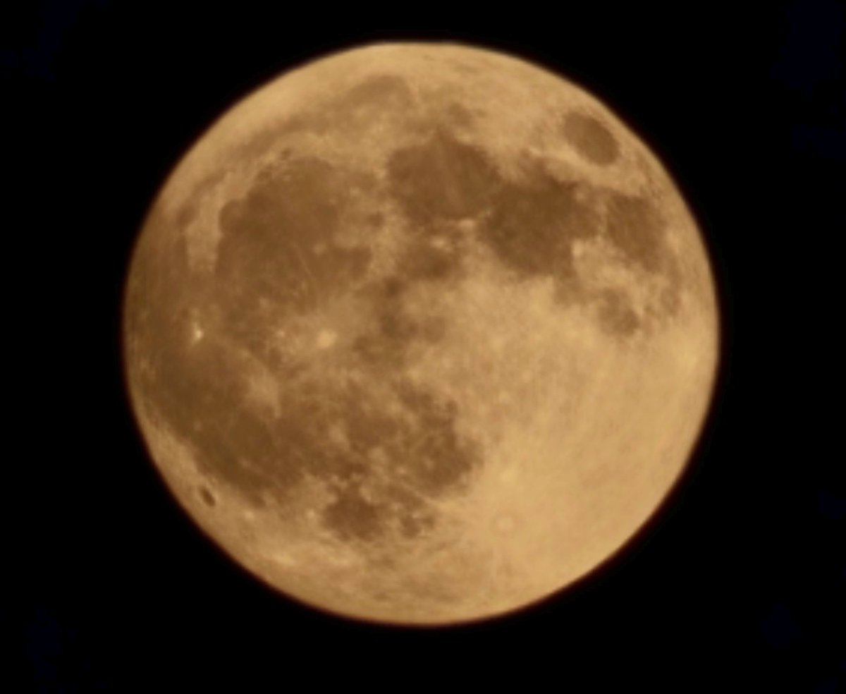 いいよるだね。