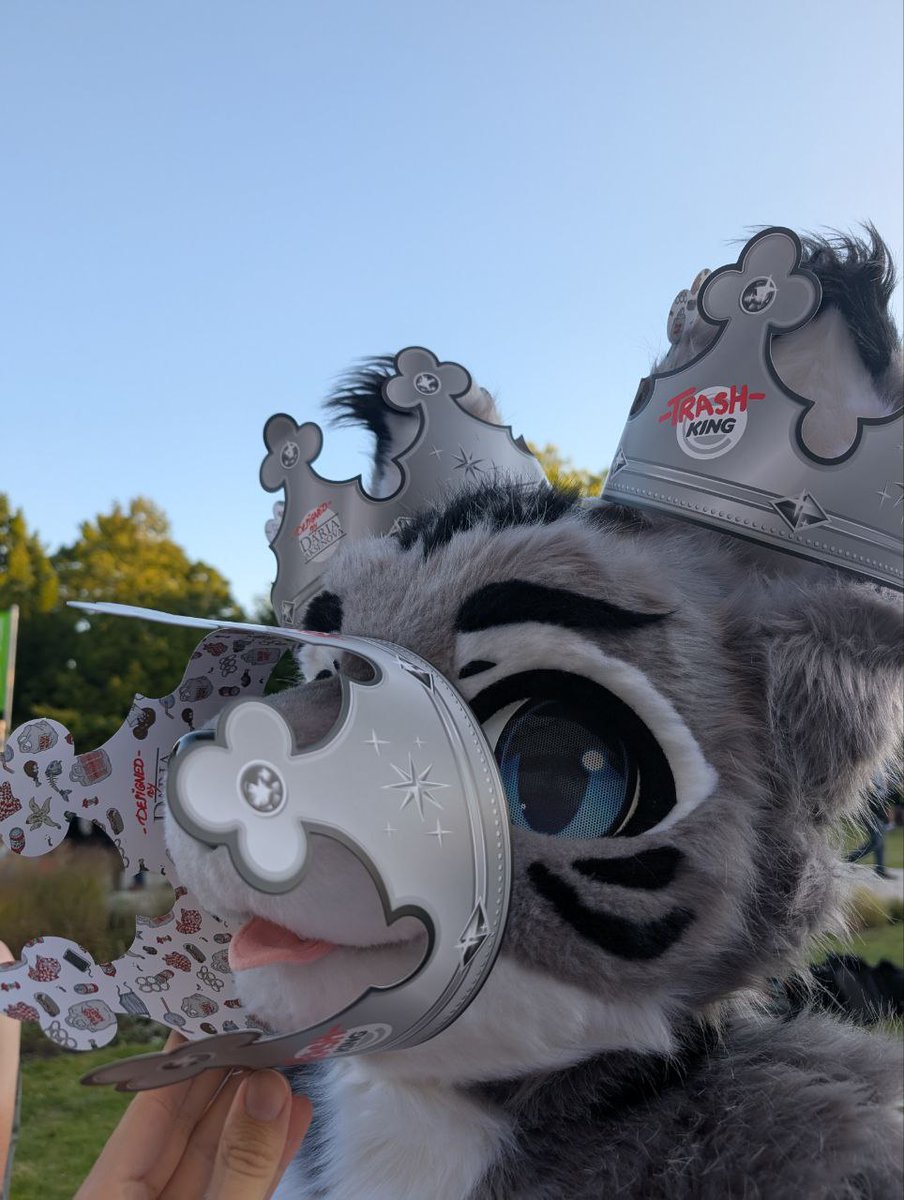 TheRaccoonCat tweet media