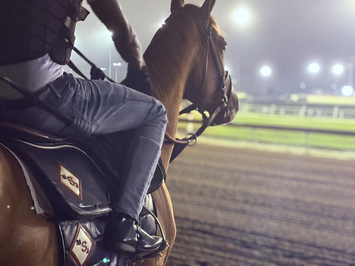 Mark Simms tweet media