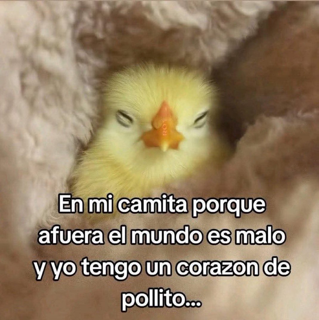 skereunpesado's tweet photo. https://t.co/42W5XoYbY2