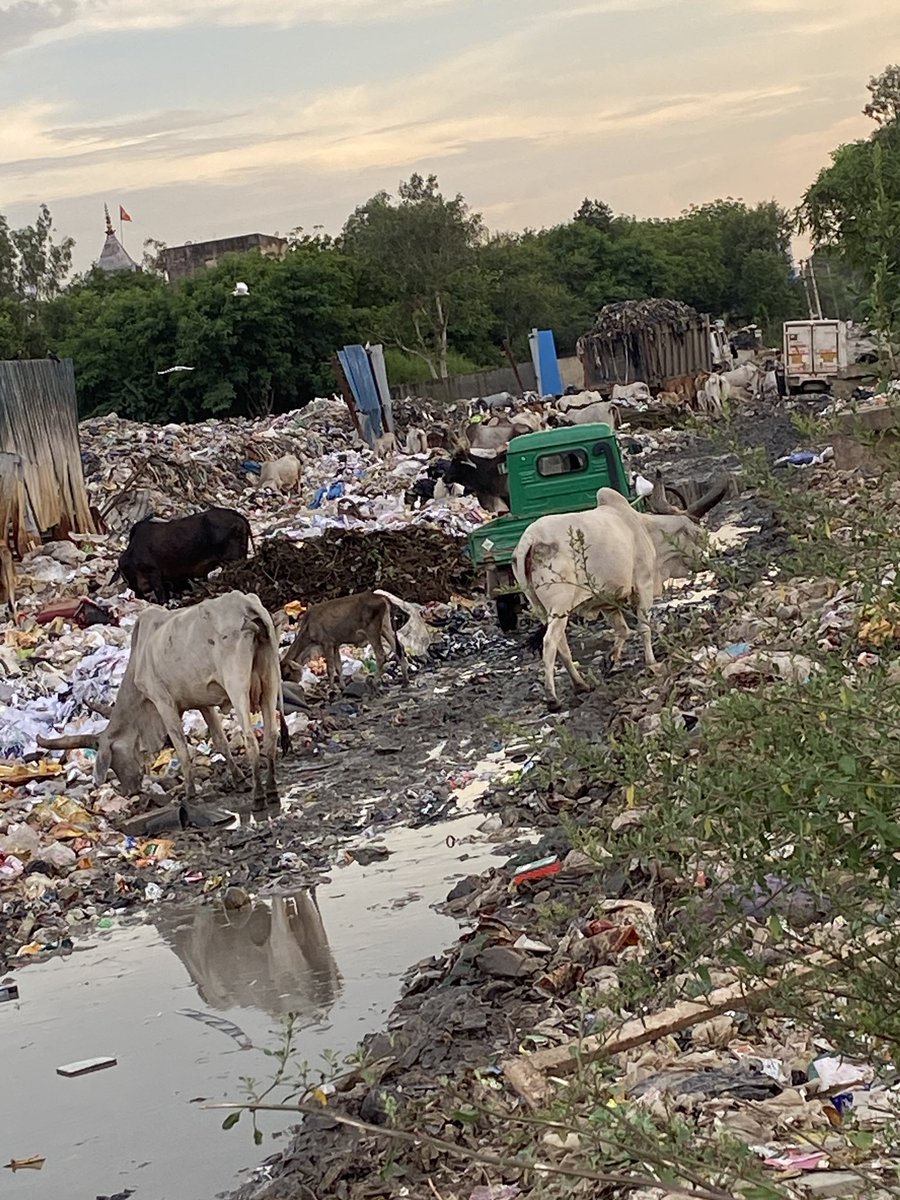 Pardeepwork's tweet photo. @MunCorpGurugram @CPCB_OFFICIAL @PMOIndia @cleanAirBharat @OfficialGMDA @TheGurugramNews @timesofindia @DC_Gurugram 
एक जगहे से उठता है दूसरी जगह डाल दिया जाता है रोड ब्लॉक हो गये हैं  क्या काम की या जा रहा हैं समझ नहीं आ रहा https://t.co/rIqdFj25V6