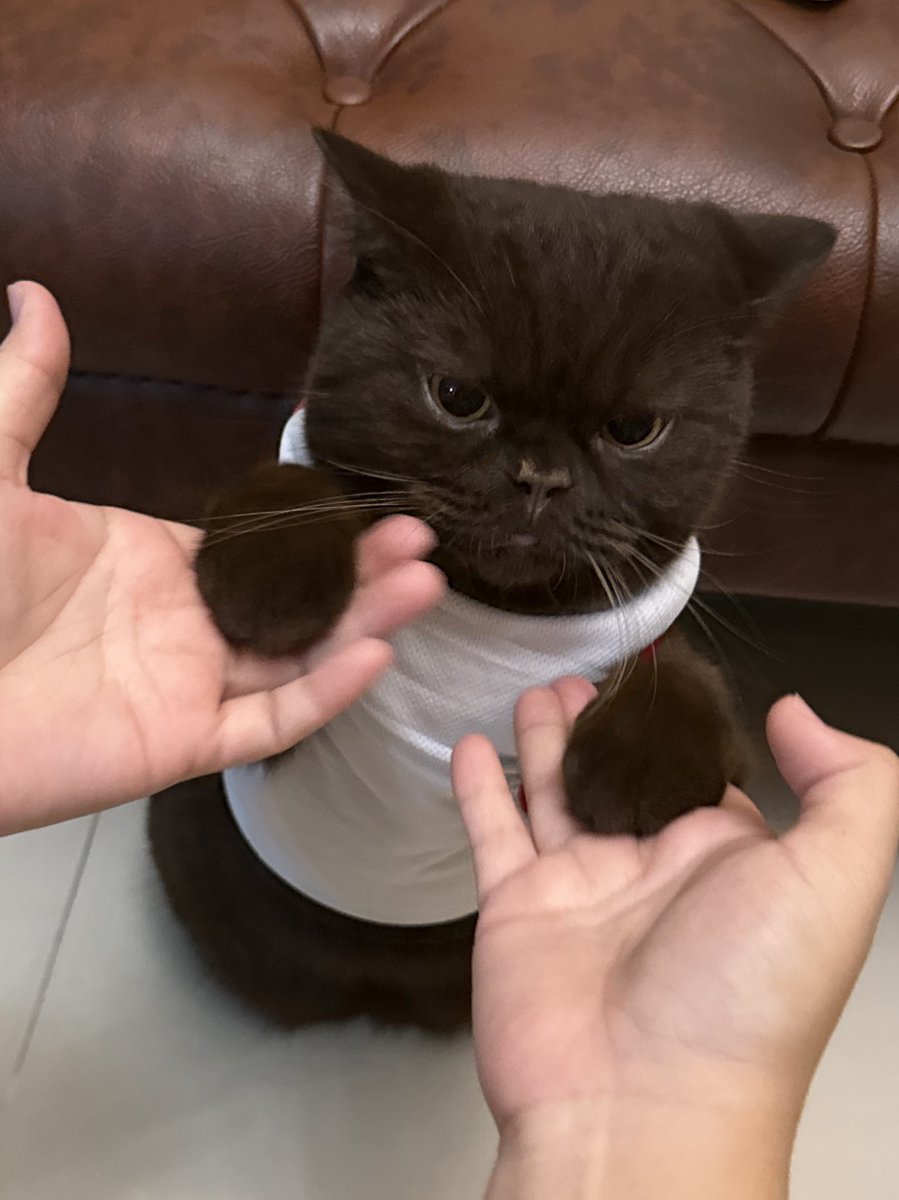 yoojeenoo's tweet image. อันนี้ มันช์กิ้นปะคะ