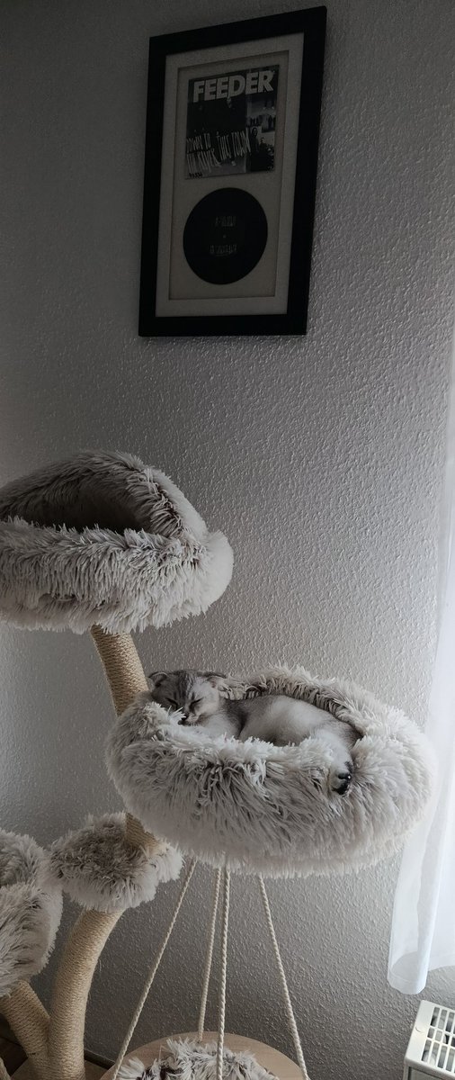 UTerdo's tweet image. Update