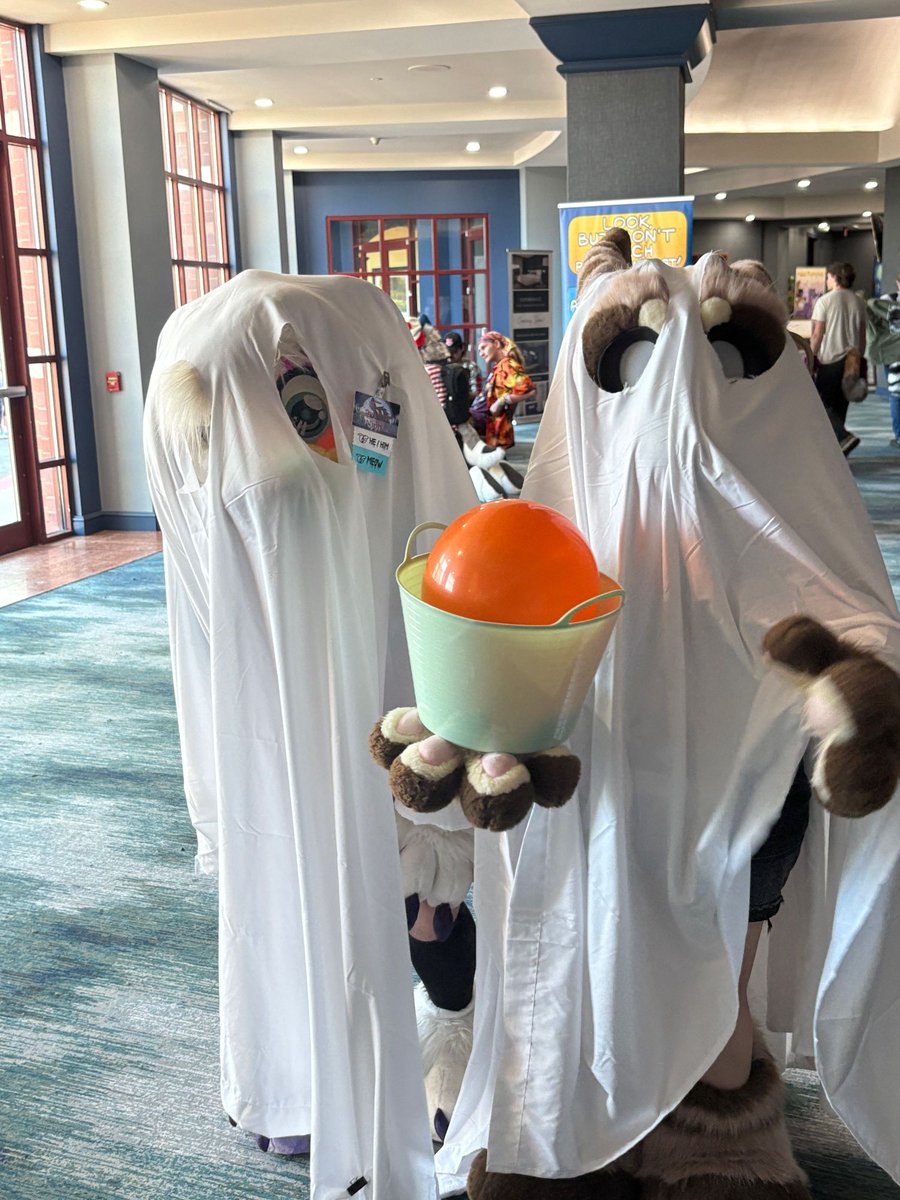 The dawn of the final day! 😭 

Don’t worry, there’s plenty going on! Registration opens today at 10am! We will be kicking off our charity auction as well at 2pm in Main Events before we move to closing ceremonies later and make some huge announcements for next year! #ttfc2025