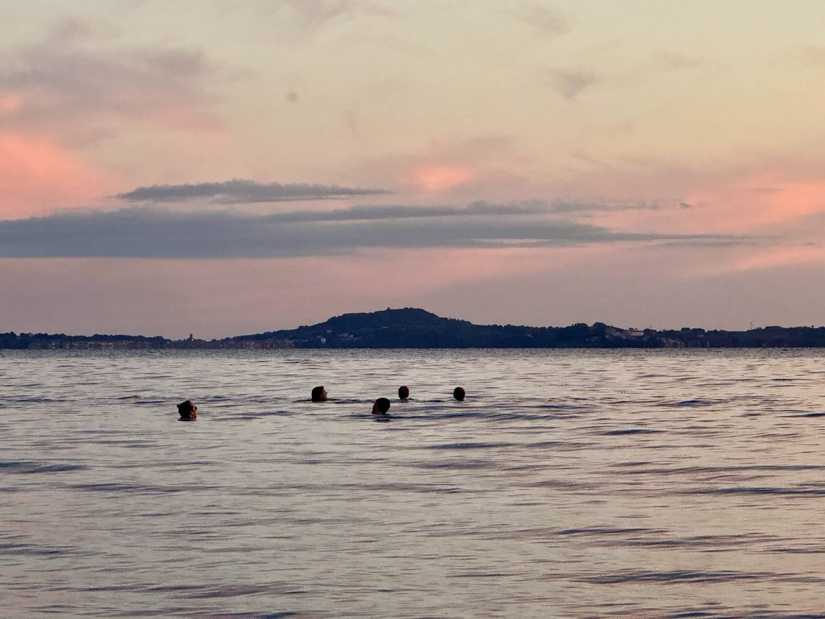 Mediterranean Society for Consciousness Science tweet media