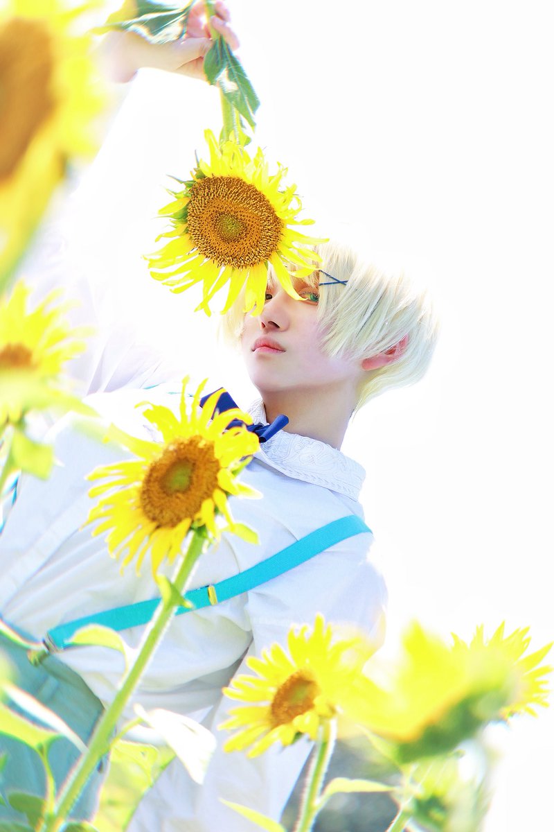 #川越市ひまわり畑
#麗yers
#reiyers
 📷：<a href="/tanukikouzi1111/">ナコ</a> 

国花