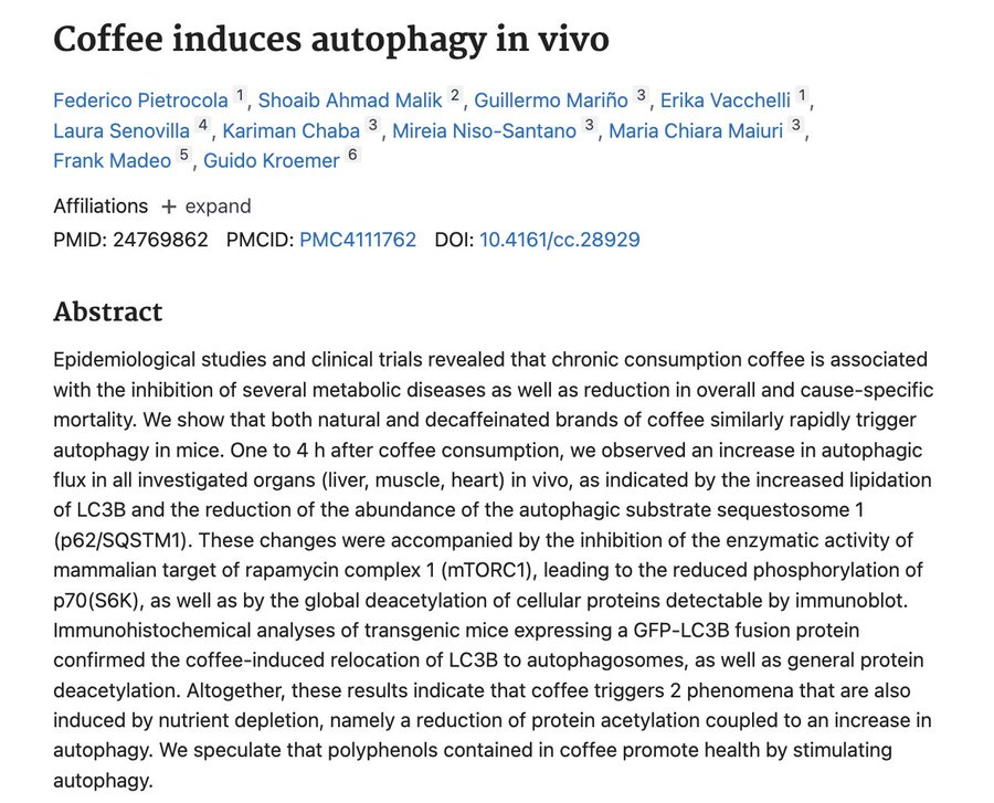 AlpacaAurelius's tweet photo. You don't need to fast for autophagy...the process that recycles cells and cleans out old cellular debris...

Just drink coffee.

Coffee is one of the most potent activators of autophagy

One of the biggest reasons why it's a true longevity superfood https://t.co/XgQkslWi7N