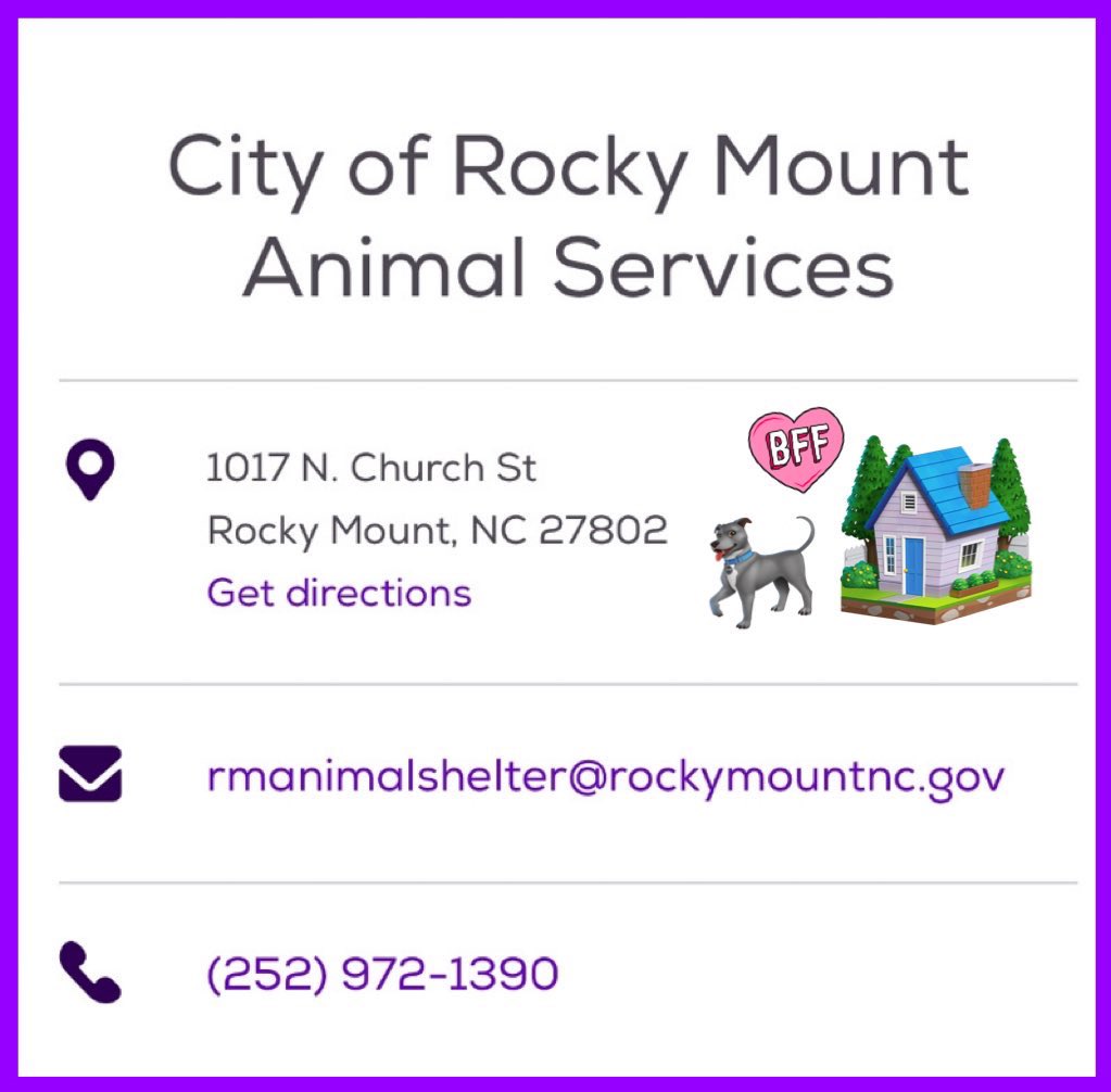 Dubs4Mutts's tweet image. 😍 Have you seen a more perfect hound? 🐶 MISSY 💕 is looking for a forever family in #RockyMount #NC 35lbs friendly, brave, curious, playful good girl! Missy was found #stray 😢 She’s very sweet &amp;amp; is hoping to find a loving 🏡 on 9/8 #AdoptMe ♥️ Please 📧…