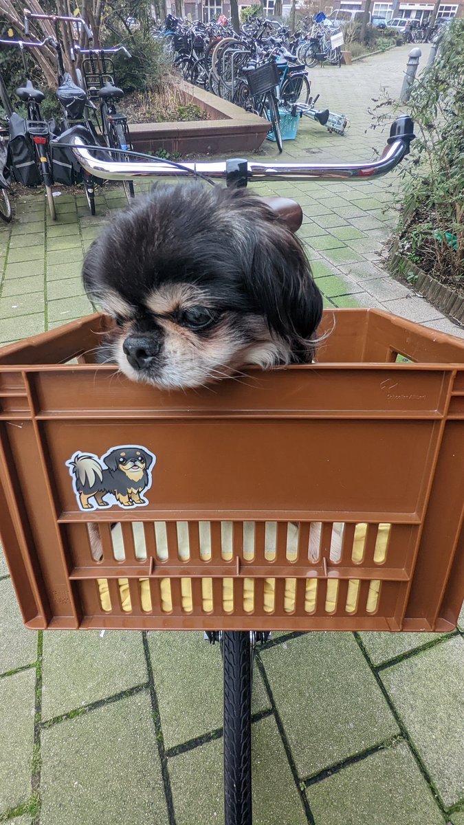 Amanda Brooke Perino tweet media