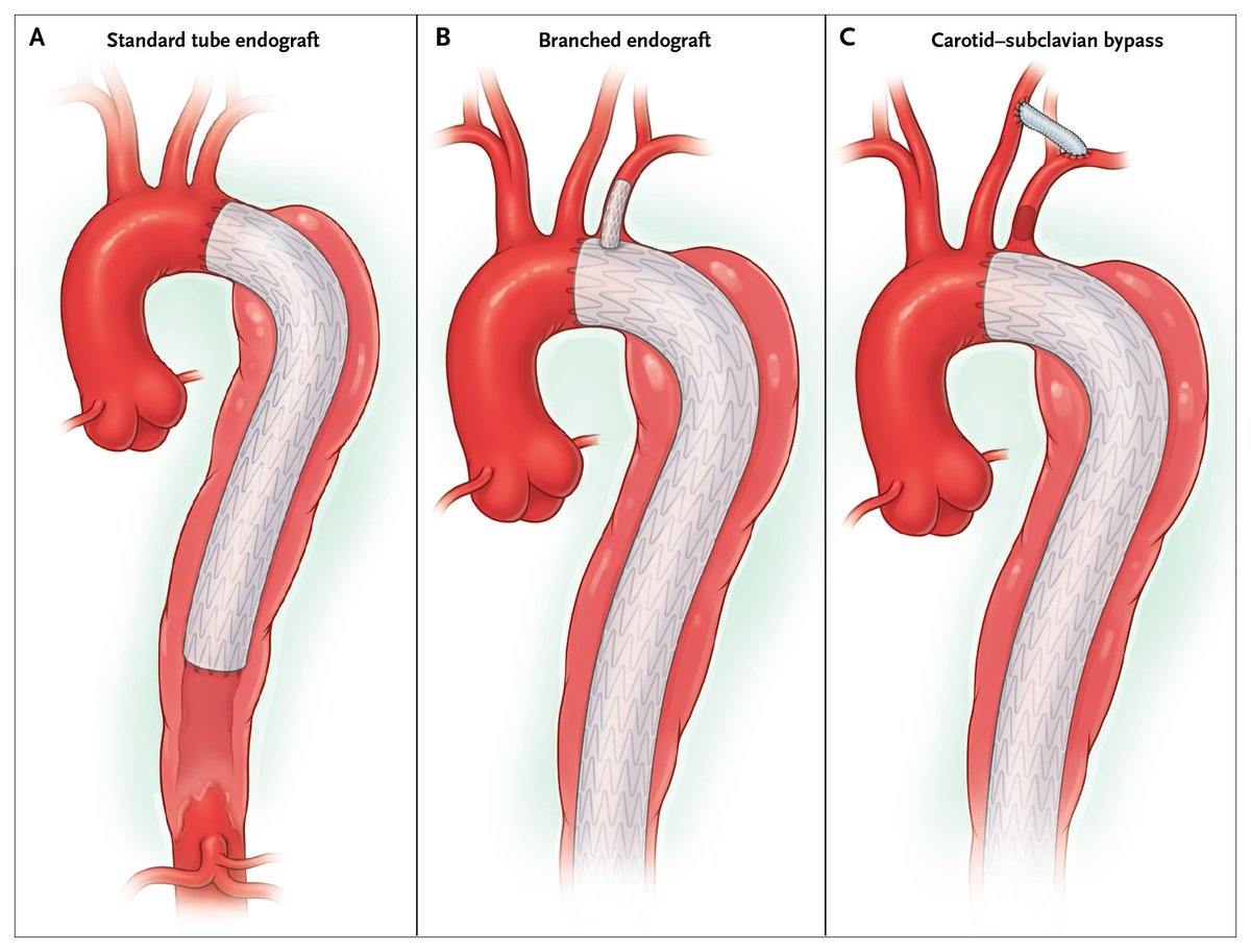 NEJM tweet media