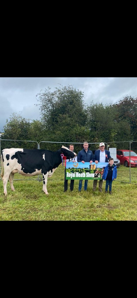 Knockmoules Holsteins tweet media