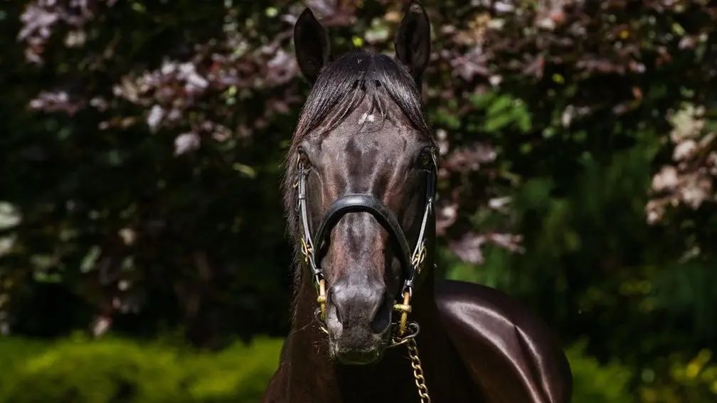 Group 1 success for Sahlan in the Qatar Prix du Moulin. 

The Wootton Bassett colt is a homebred for Al Shaqab Racing and out of the Toronado mare Wasmya.