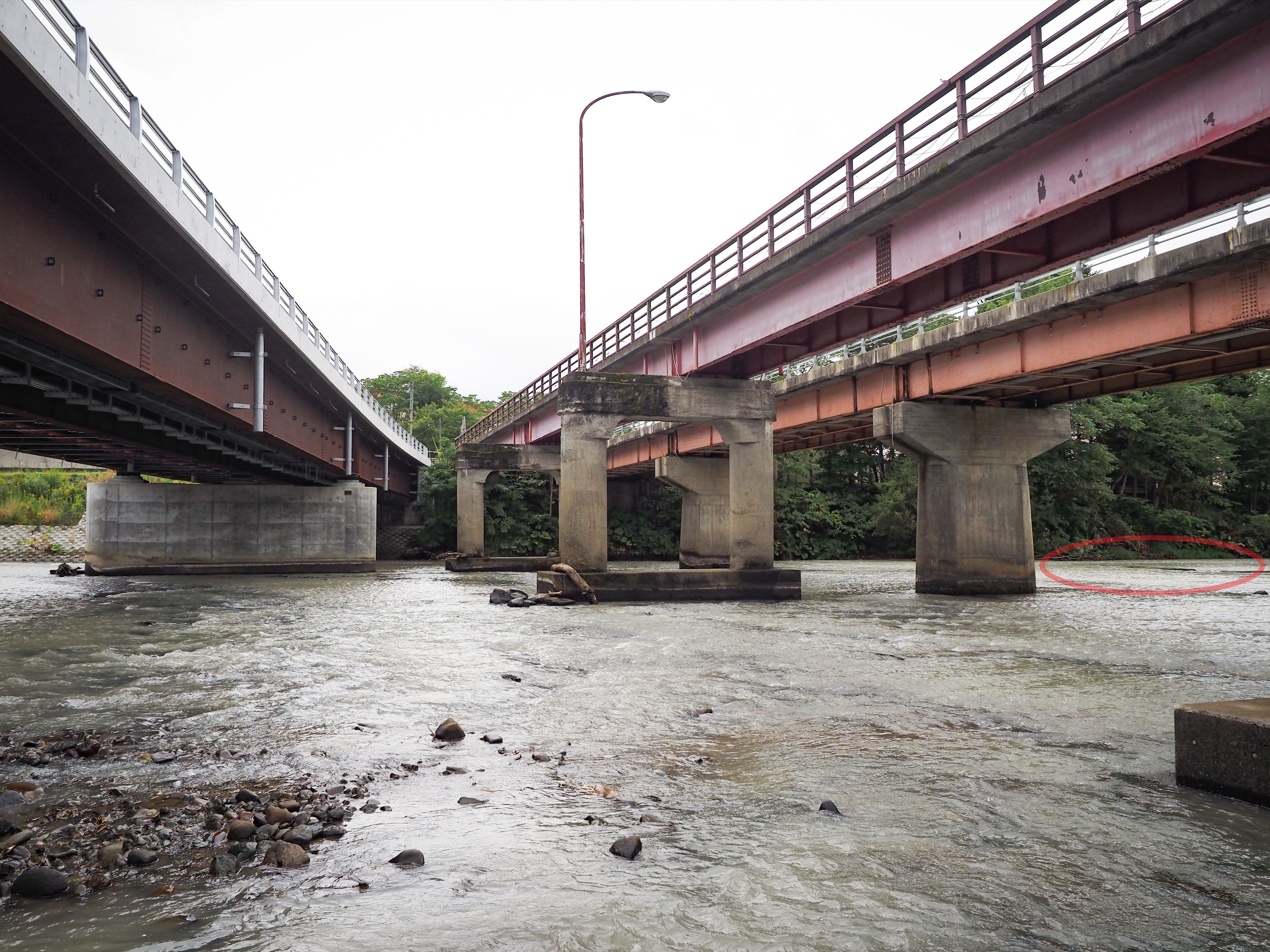 あち☺︎ Amazon | KN企画 ライブディオZX ライブDIOZX AF34 AF35 3ポート