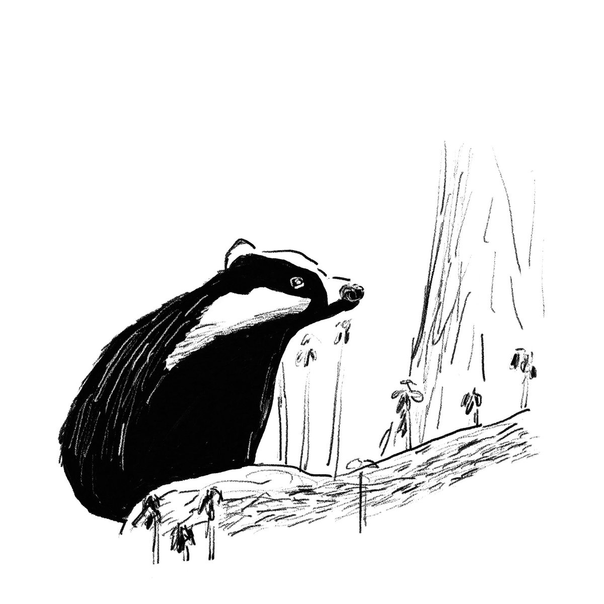 光永これゆき tweet media