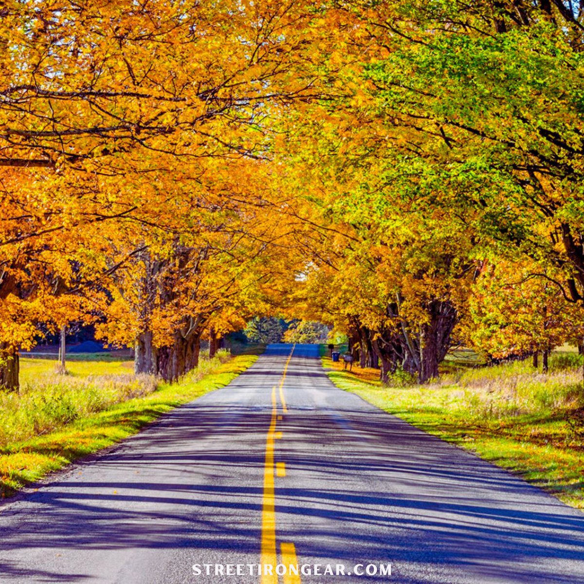 StreetIronGear's tweet image. Fall Riding Series: Riding into a postcard on Michigan&apos;s Tunnel of Trees. M-119 is a fall foliage masterpiece. Pure magic. 🍂 #TunnelOfTrees #MichiganRiding #FallFoliage #StreetIronGear