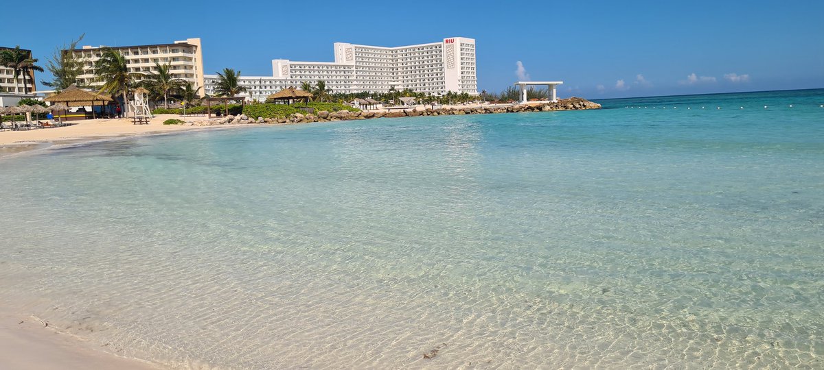 Goldie🧡🖤🧡🐺⚽️🍺🏌️♂️🍋🌹🏎🏏 tweet media