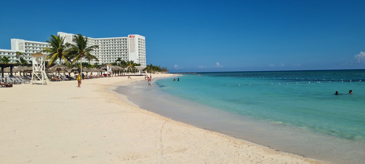 Goldie🧡🖤🧡🐺⚽️🍺🏌️♂️🍋🌹🏎🏏 tweet media