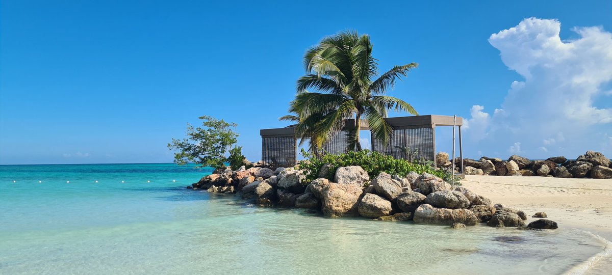 Goldie🧡🖤🧡🐺⚽️🍺🏌️♂️🍋🌹🏎🏏 tweet media