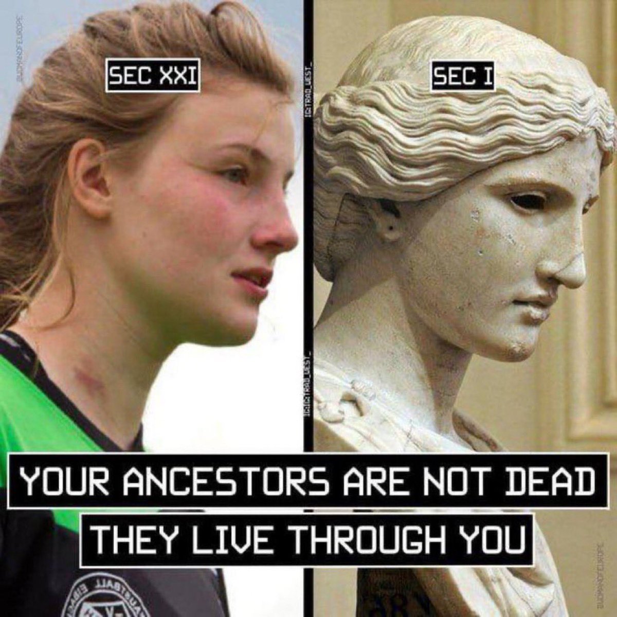 realpatriotM's tweet image. 