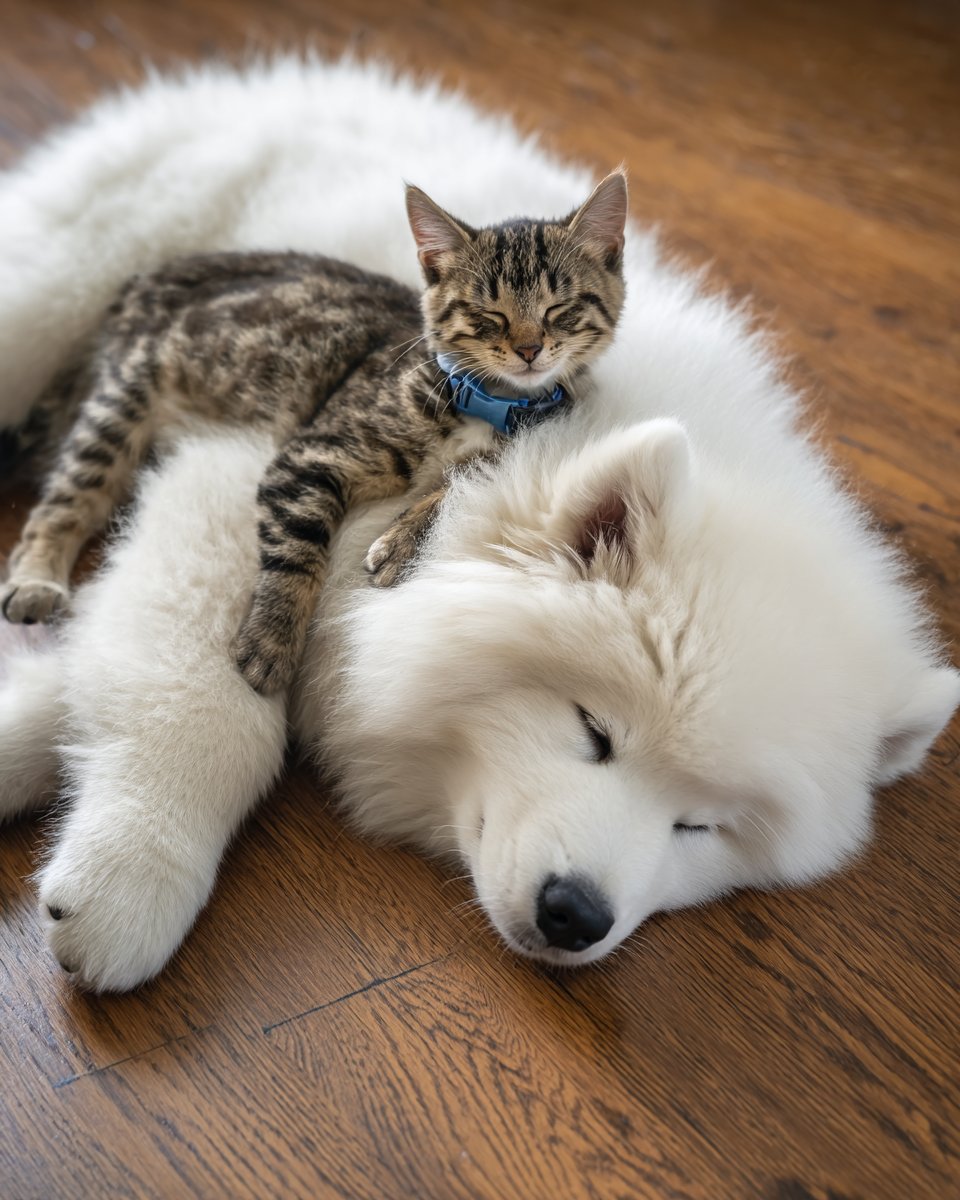 Epic Animals (@epicanimalsx) on Twitter photo 