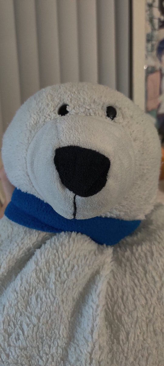 bigman 🐻‍❄️ tweet media