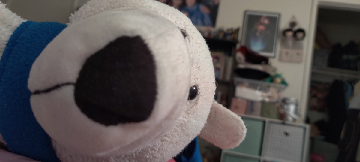 bigman 🐻‍❄️ tweet media