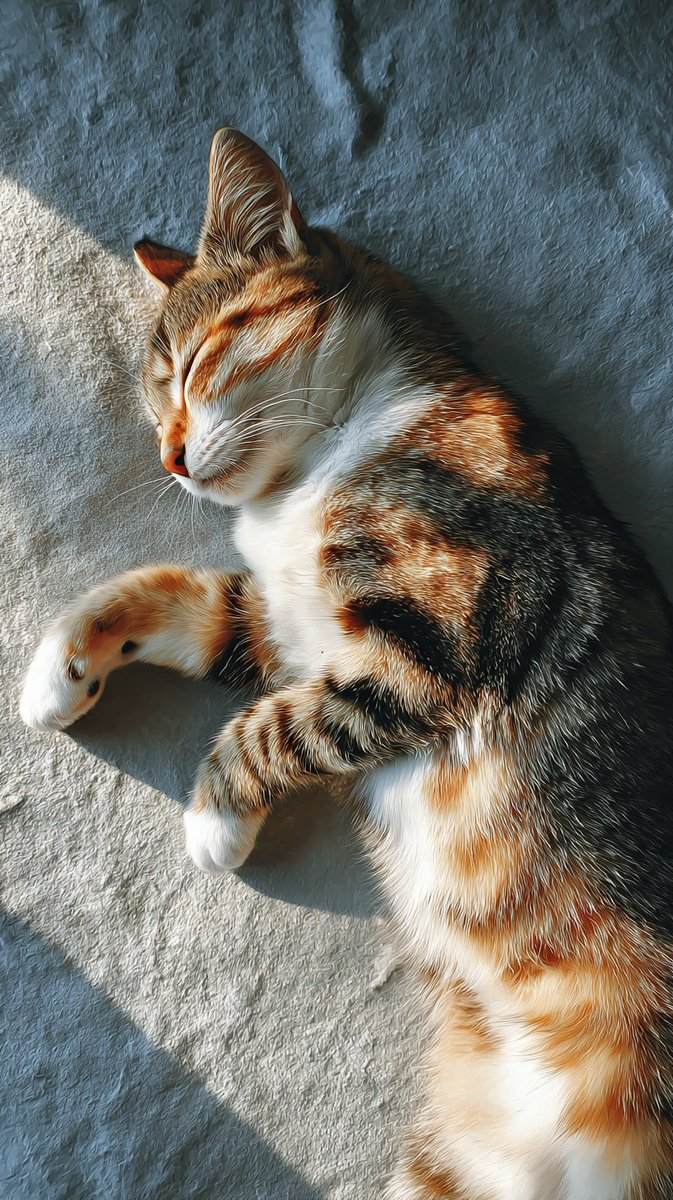 Epic Animals (@epicanimalsx) on Twitter photo 