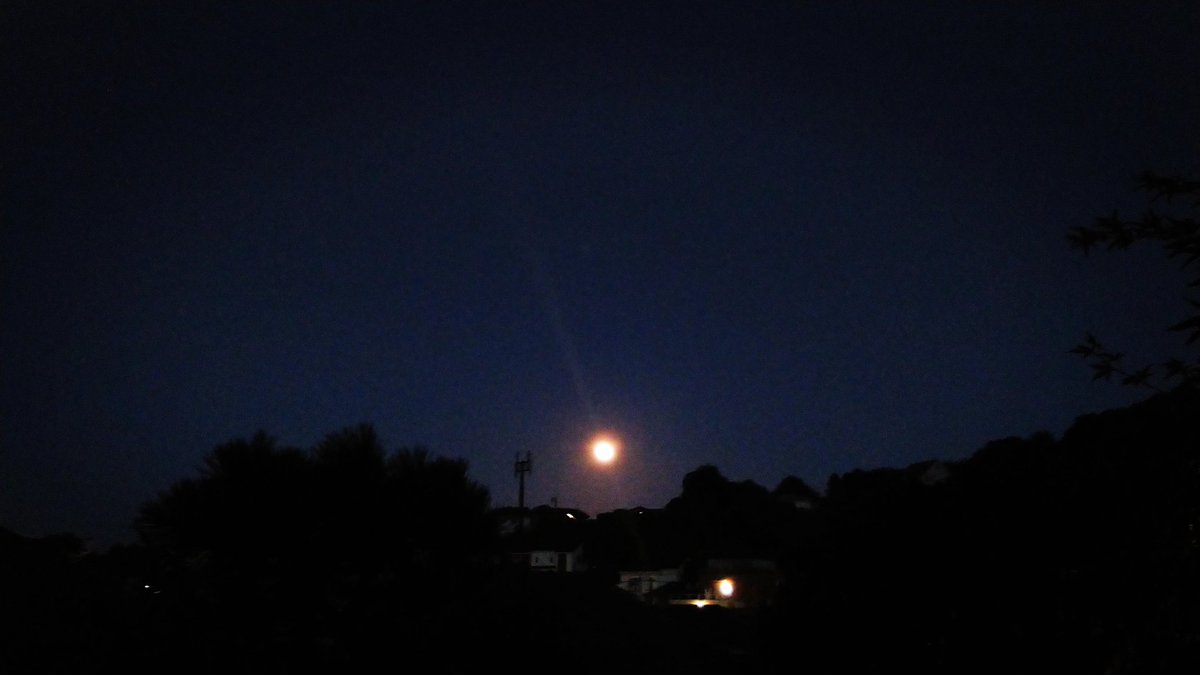 kuro0021's tweet photo. #イマソラ
#ユウソラ
#夕月
#currentsky
#eveningsky
#eveningmoon https://t.co/dh1dXTj2G2
