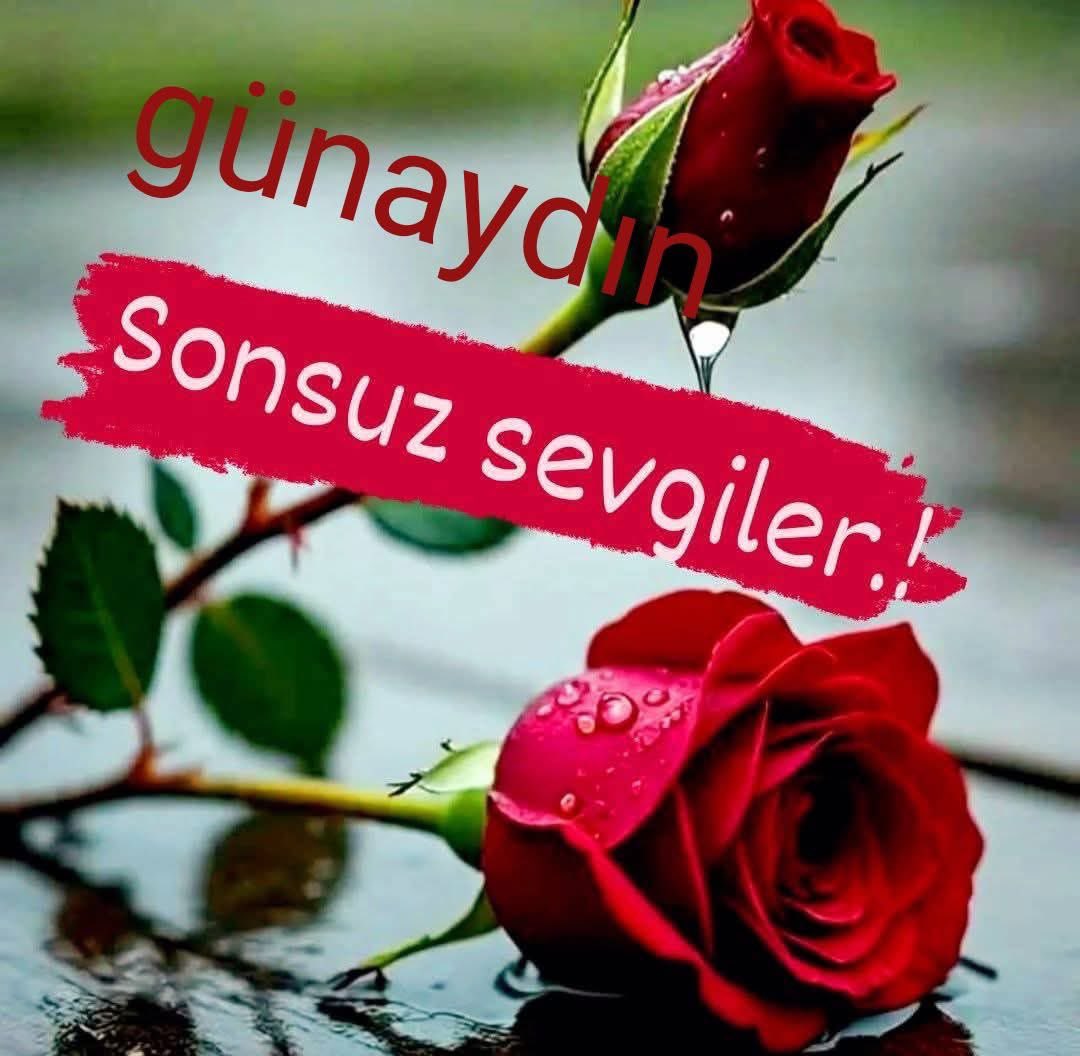 cengizhantopel's tweet photo. @19_trkan https://t.co/aQqPTzdpgy