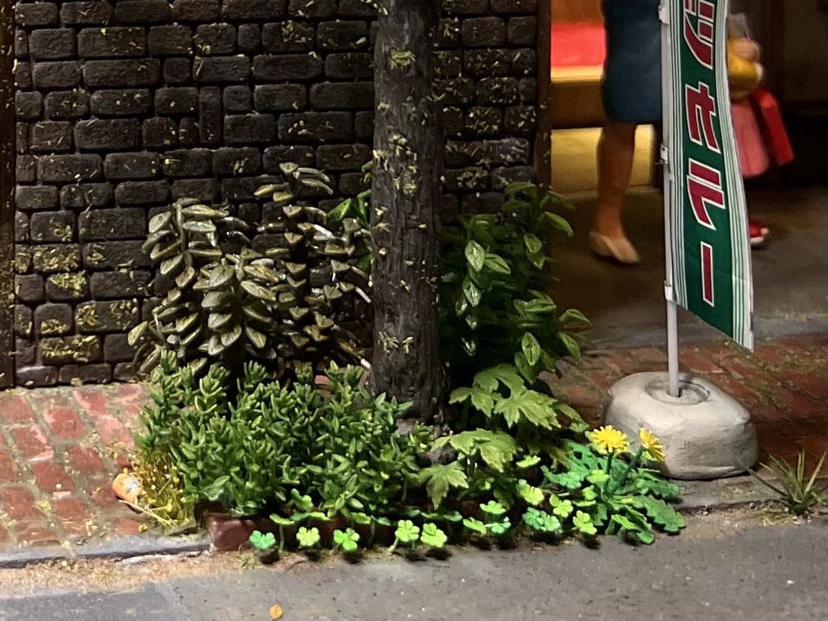 写真館の2階を公開
思い出の写真を懐かしむ2人、花壇のクローバーに🍀を見つけた