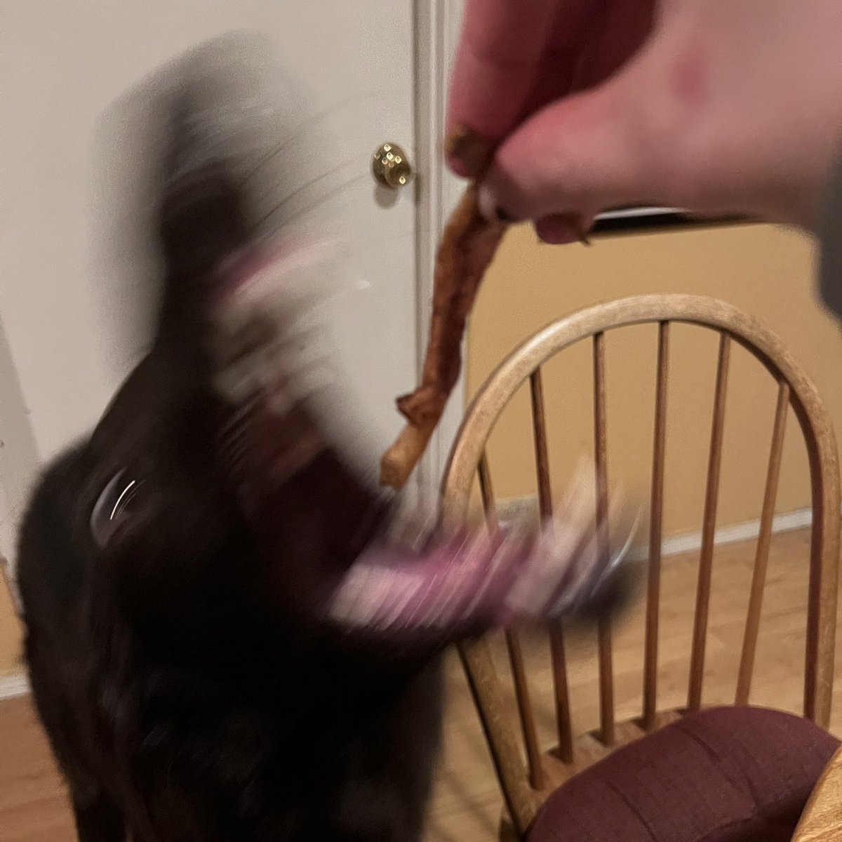 Pazur ✷ 💭 tweet media