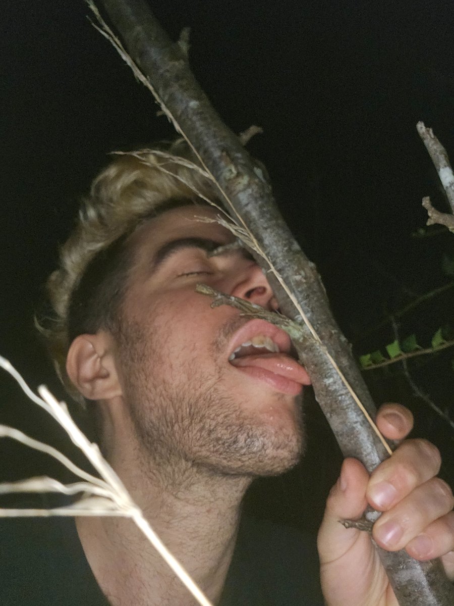 Fuck me in the woods 🌳🌟