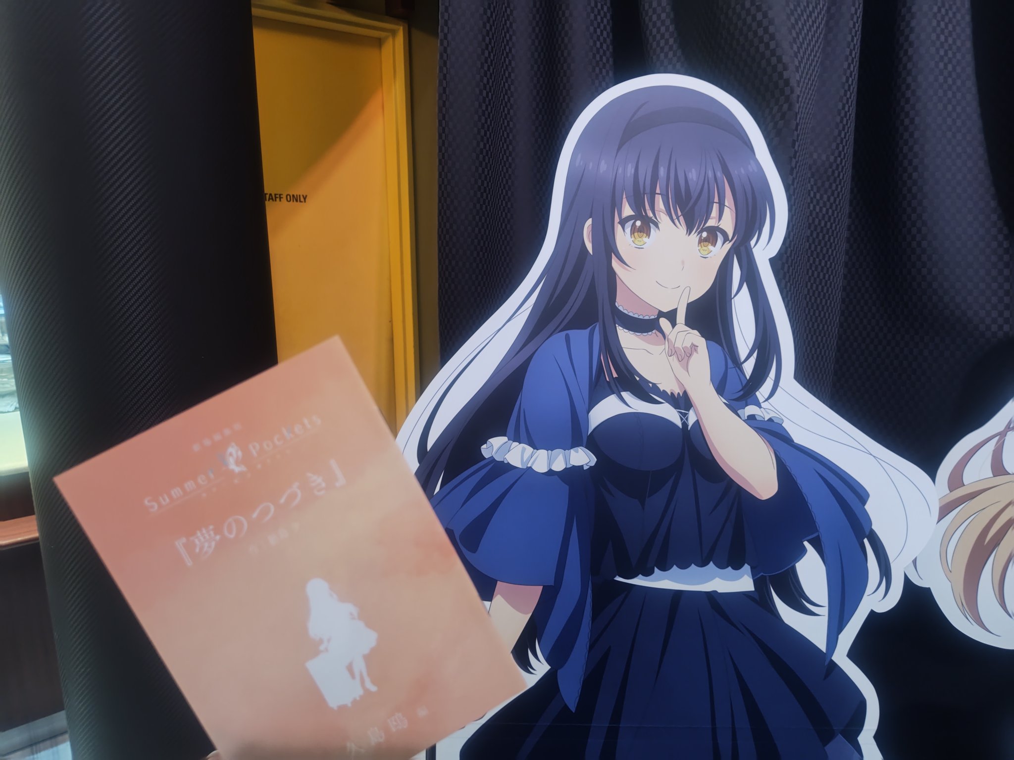 Summer Pockets 夢のつづき 小冊子 Summer Pockets 夢のつづき 小冊子 TVアニメ『Summer Pockets