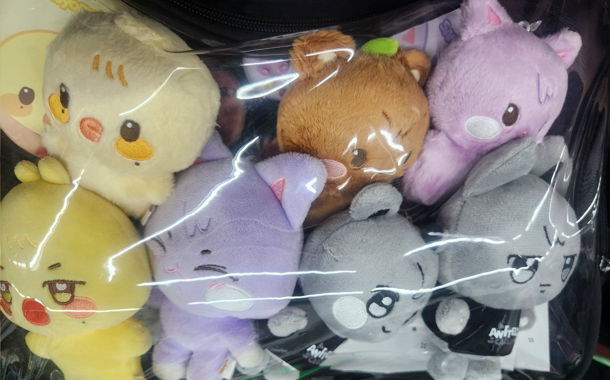 입주자들꽉껴요....월세내라.🥲