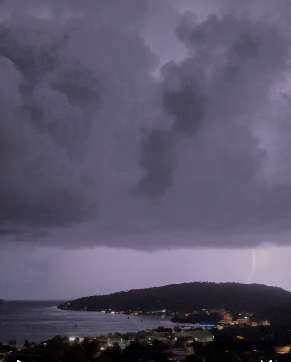 Sandra Mendez Hernandez tweet media