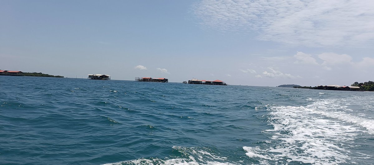 randomizer498's tweet image. 10/10 would visit again (should the budget's available)