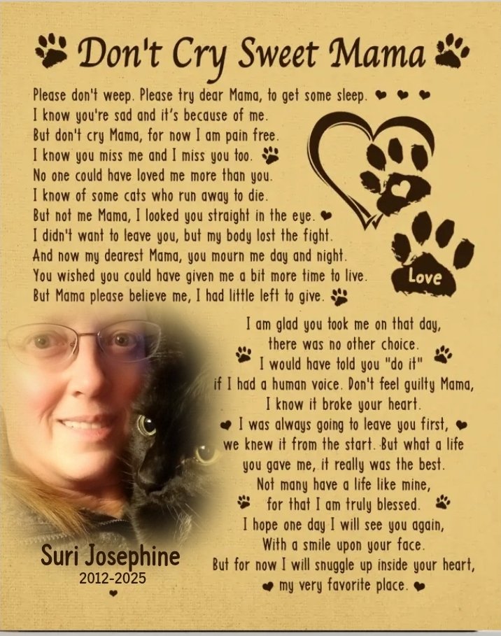 vaundalea's tweet photo. @catturd2 https://t.co/jR1ANKVXCt
