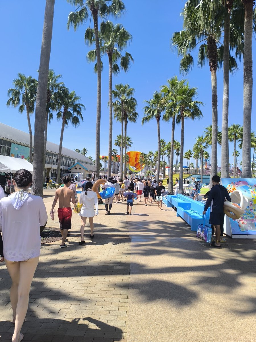 heritage_z's tweet photo. ナガシマスパーランド
プール日和です☀🌴 https://t.co/9QJVTnVxB3