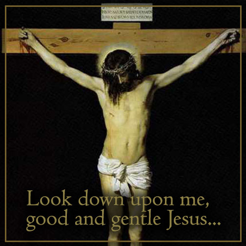 Catholic Action (@catholicactions) on Twitter photo 